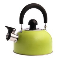花色(Stylor) 迷你开水壶 烧水壶 优质不锈钢彩色 厨房用品 电磁炉通用 响水壶 绿